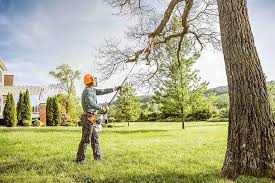 Best Tree Mulching  in Buellton, CA